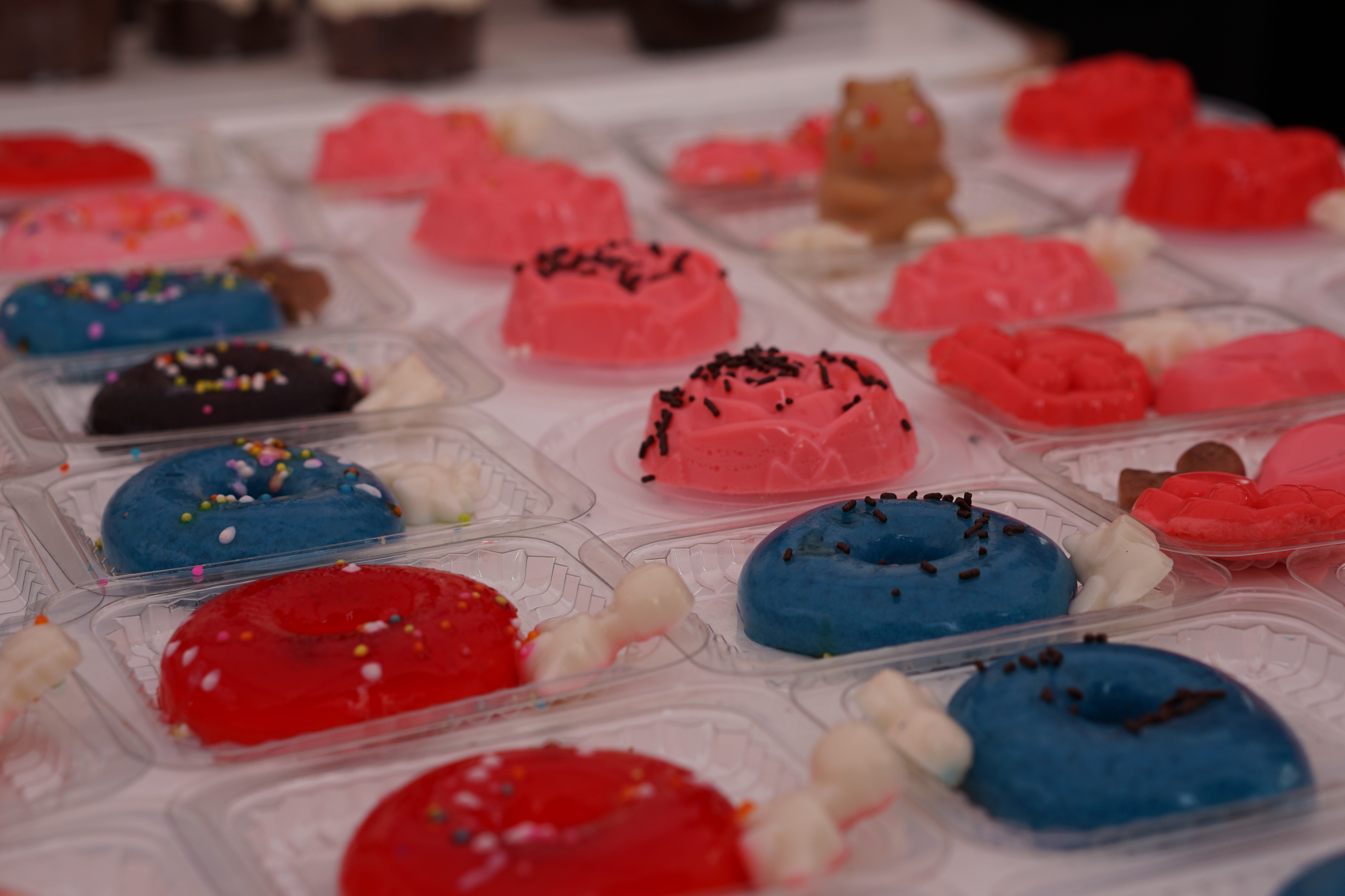 Visitas de emprendedores